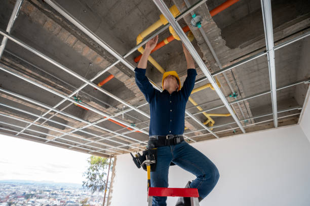 Best Plumbing Services Near Me  in Van Alstyne, TX